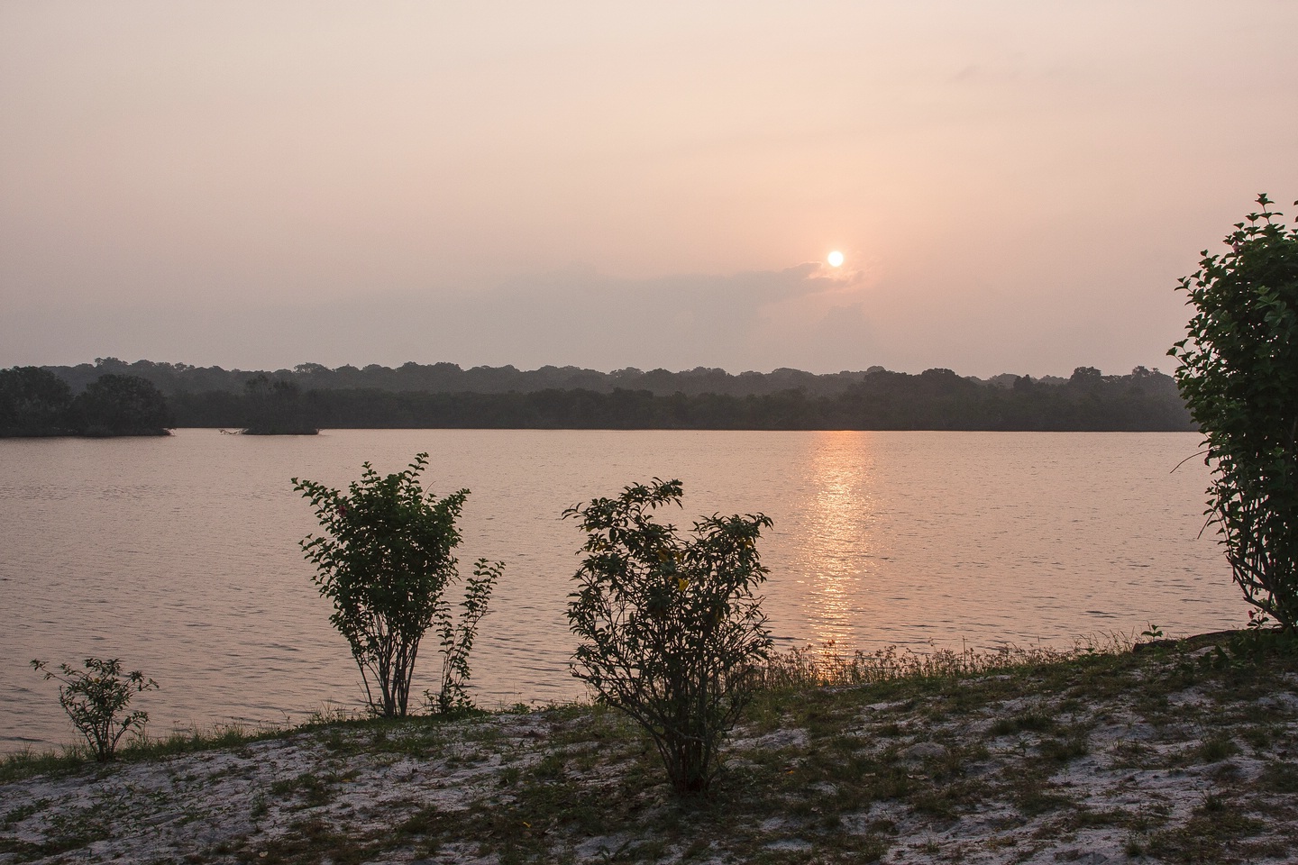 Parc National de Loango