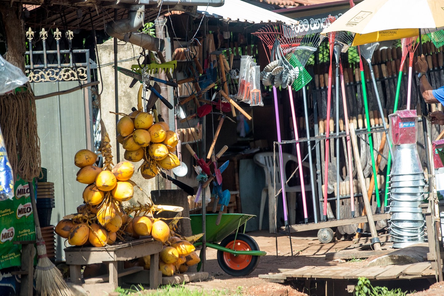 Street Life