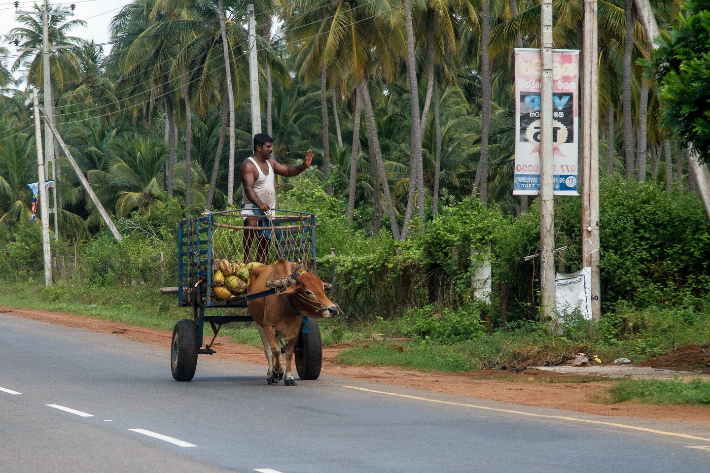 Street Life