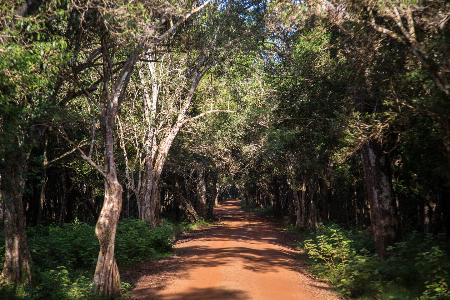 Wilpattu National Park