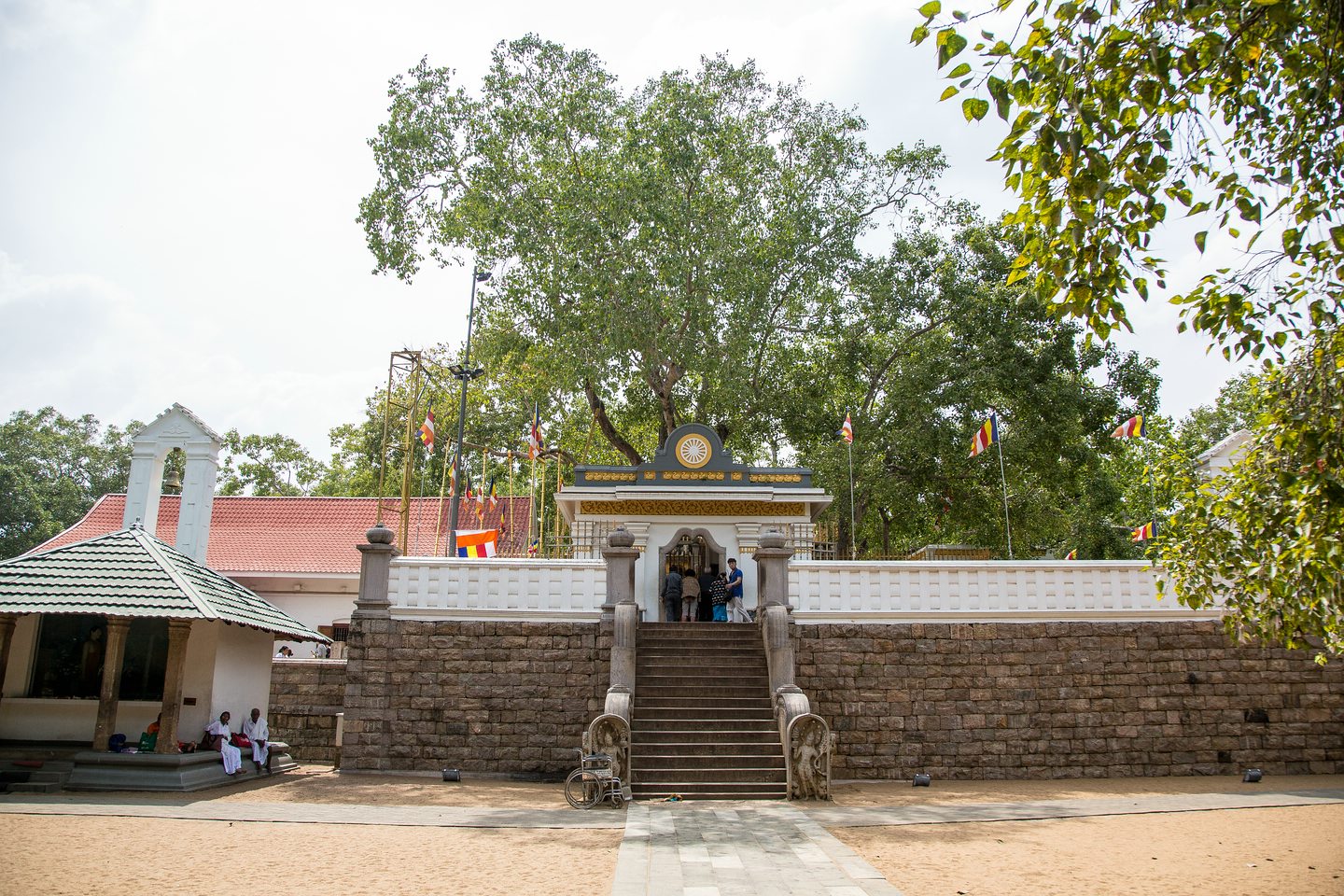 Jaya Sri Maha Bodhi