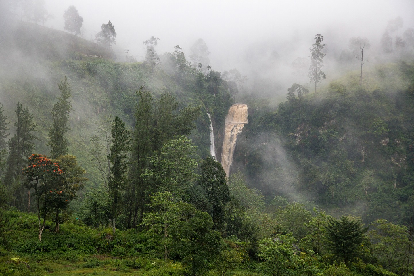 Hochland von Sri Lanka