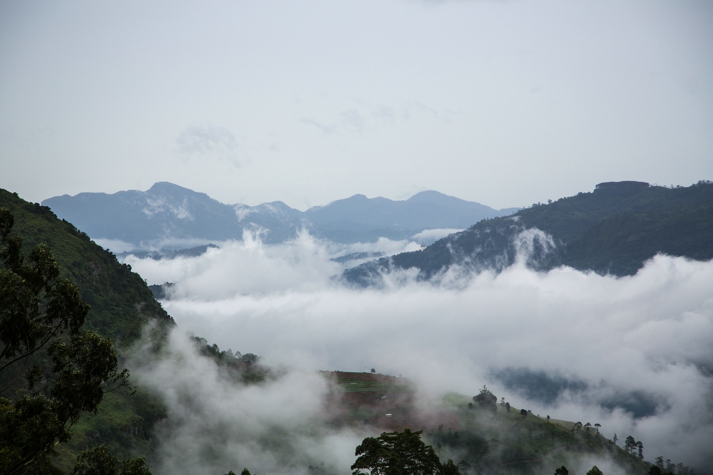 Hochland von Sri Lanka