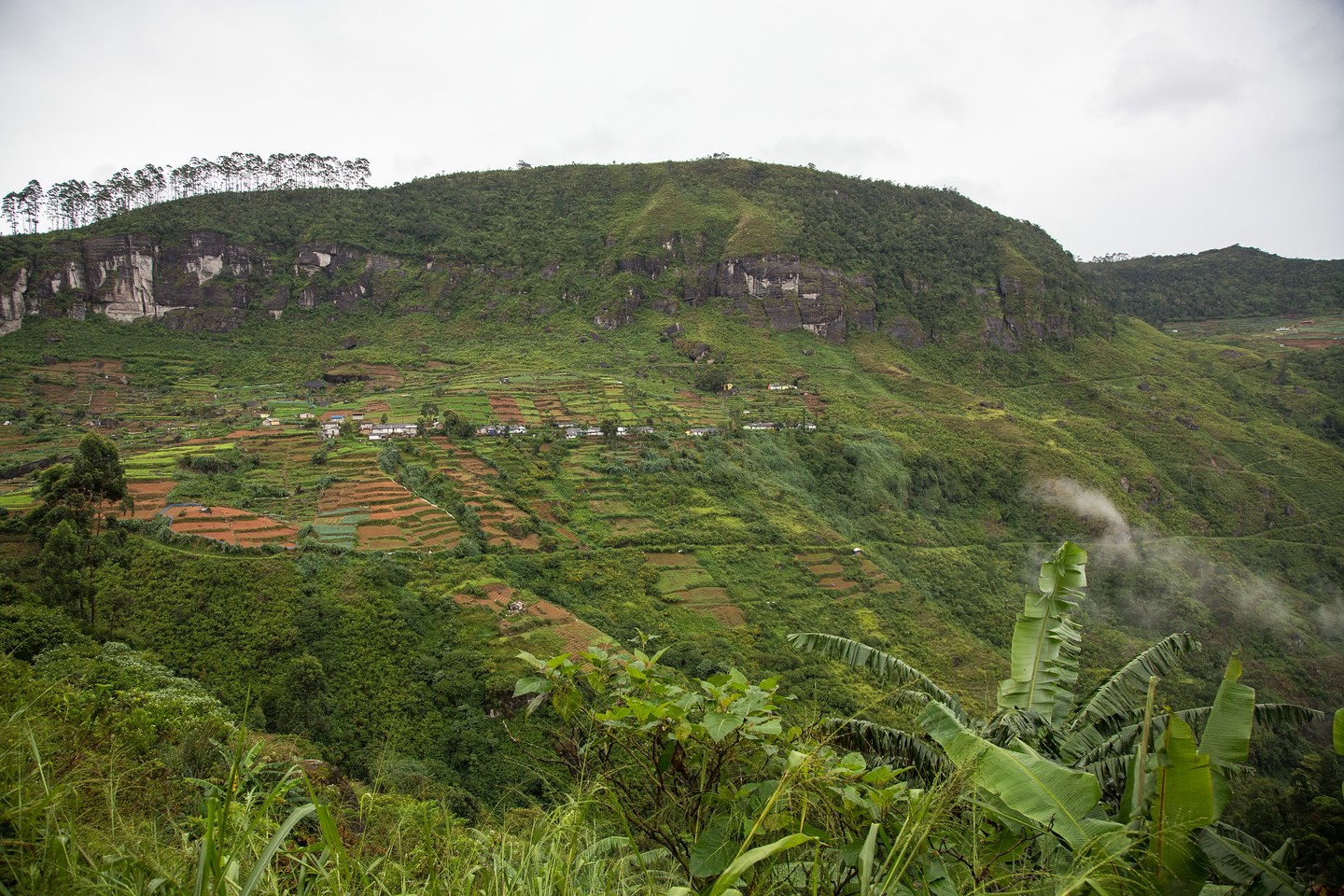 Hochland von Sri Lanka