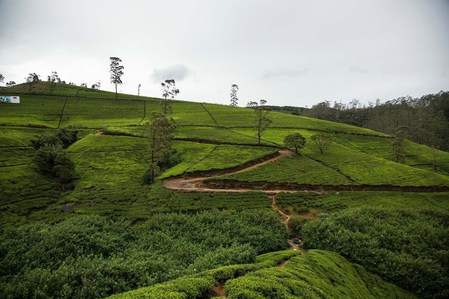 Hochland von Sri Lanka
