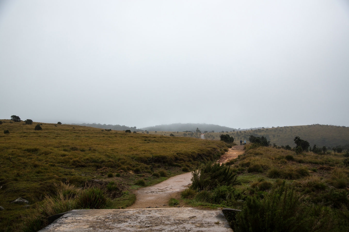 Hortonplains