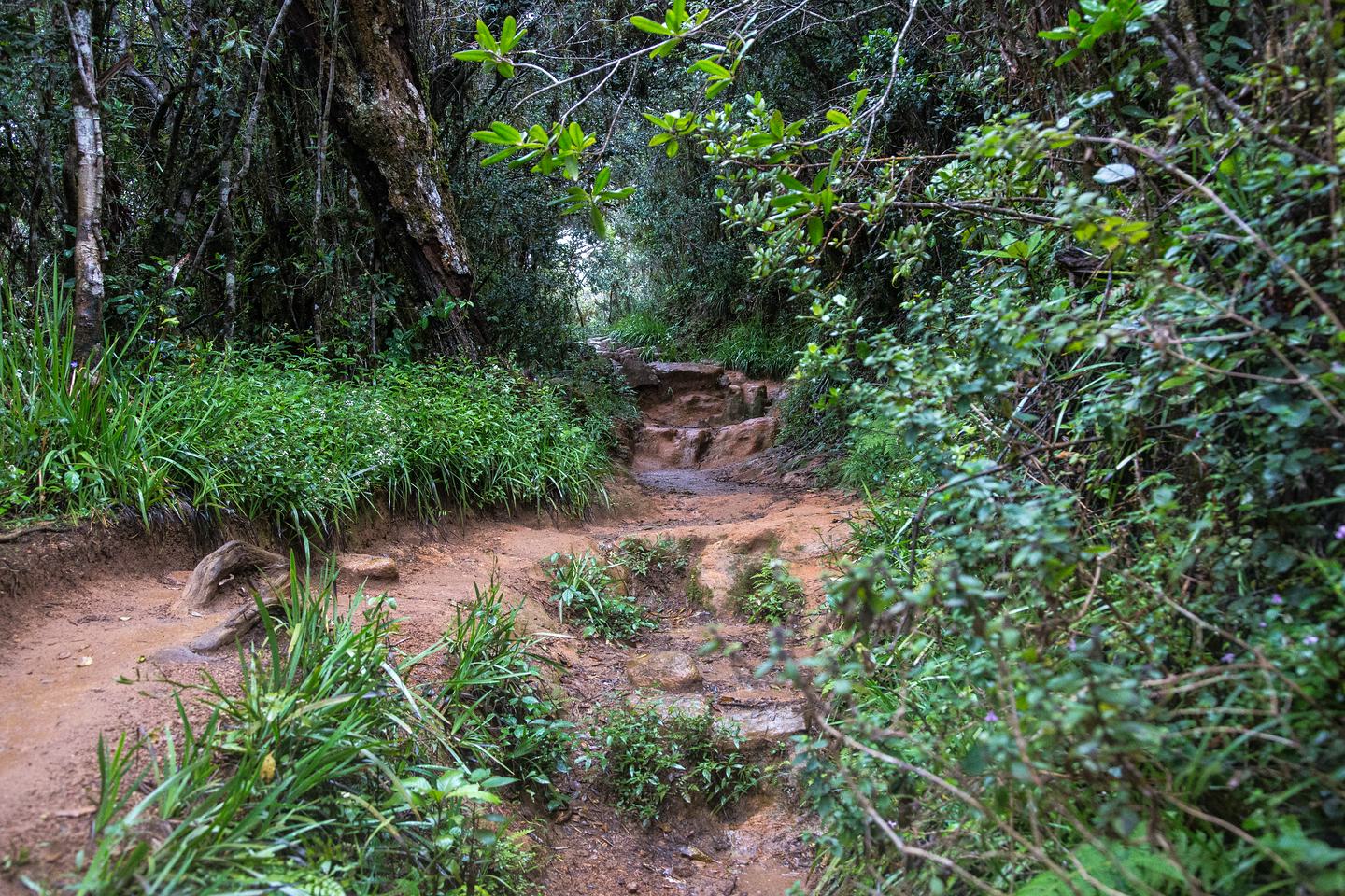 Wanderweg
