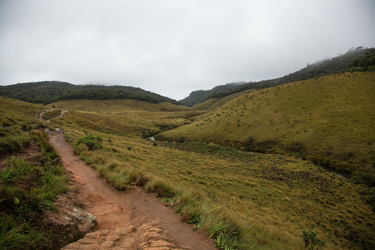 Hortonplains
