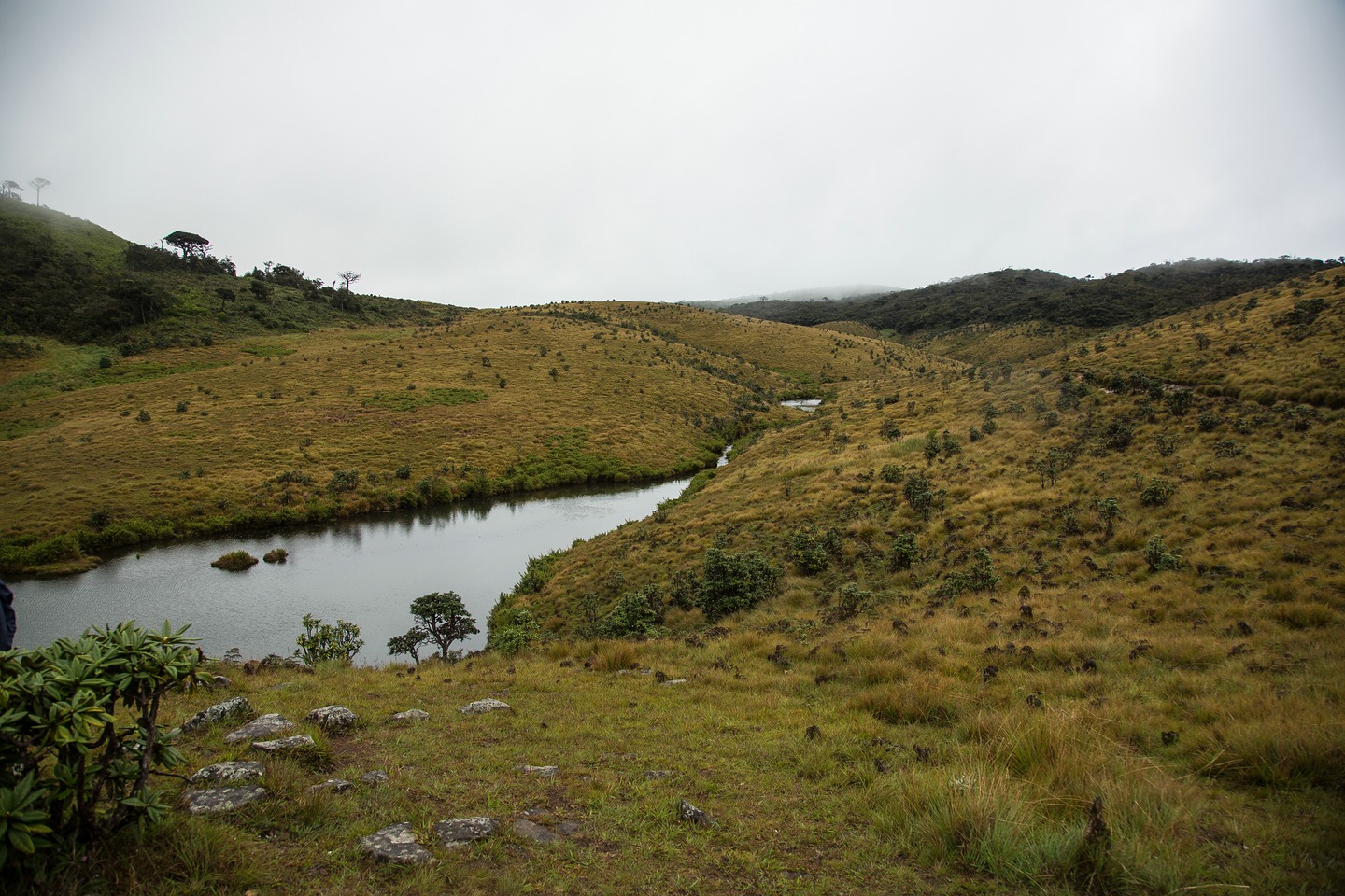 Hortonplains