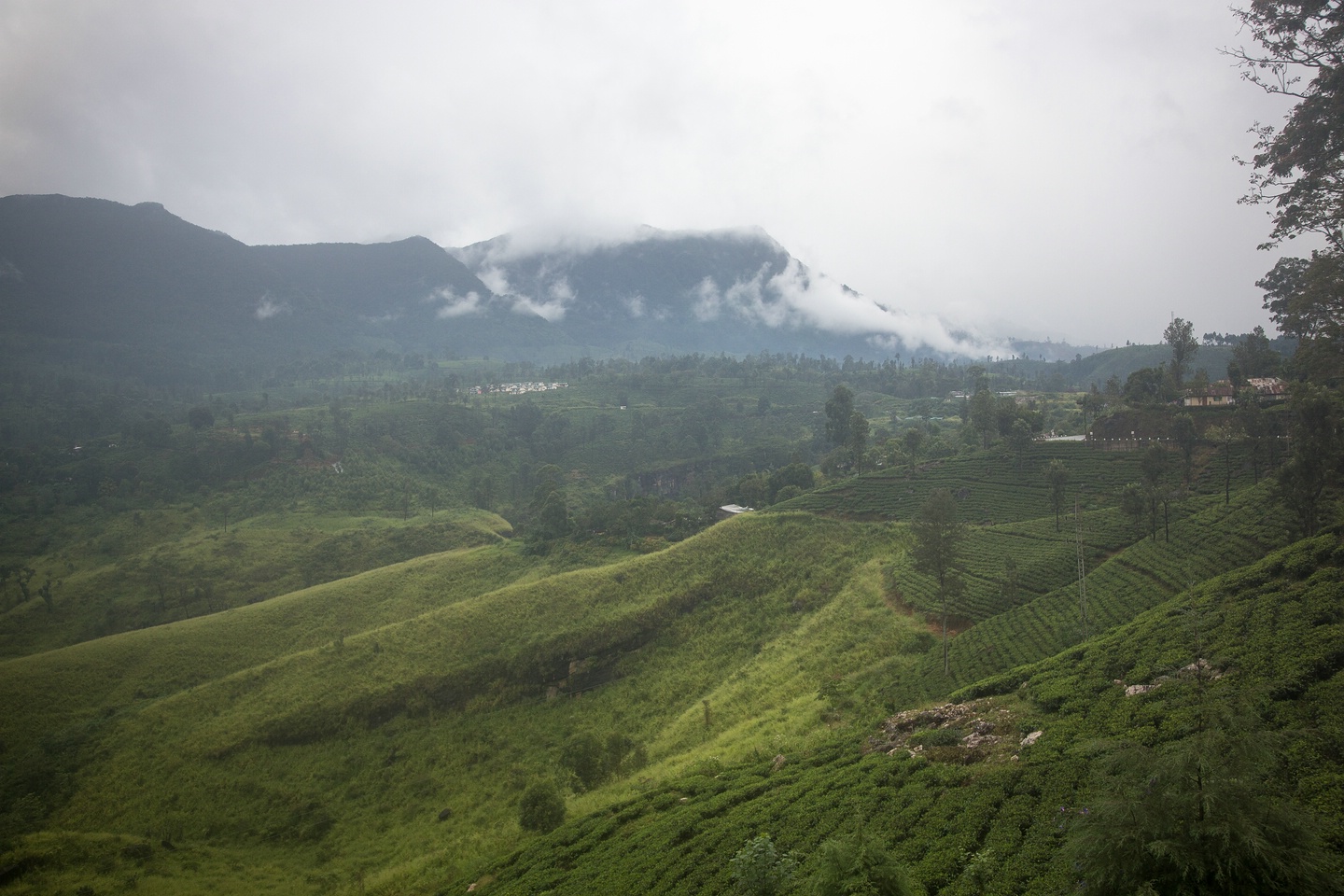 Hochland von Sri Lanka