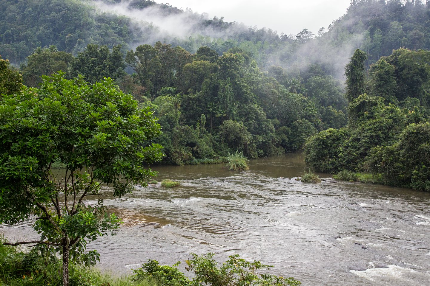 Kelani Ganga River