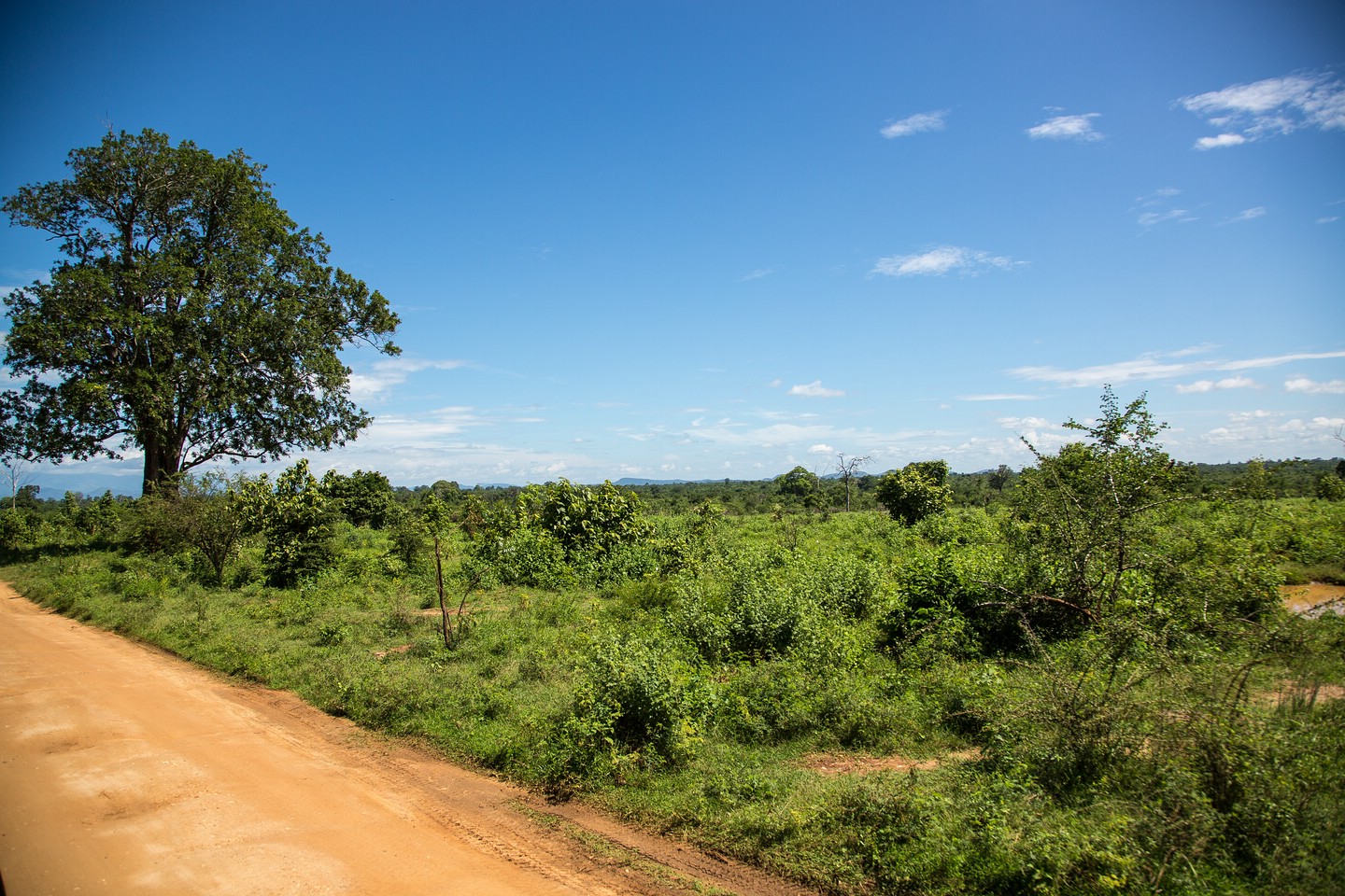 Udawalawa National Park