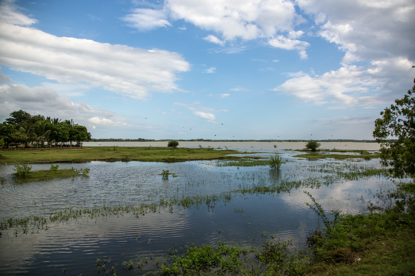 Weerawila Lake