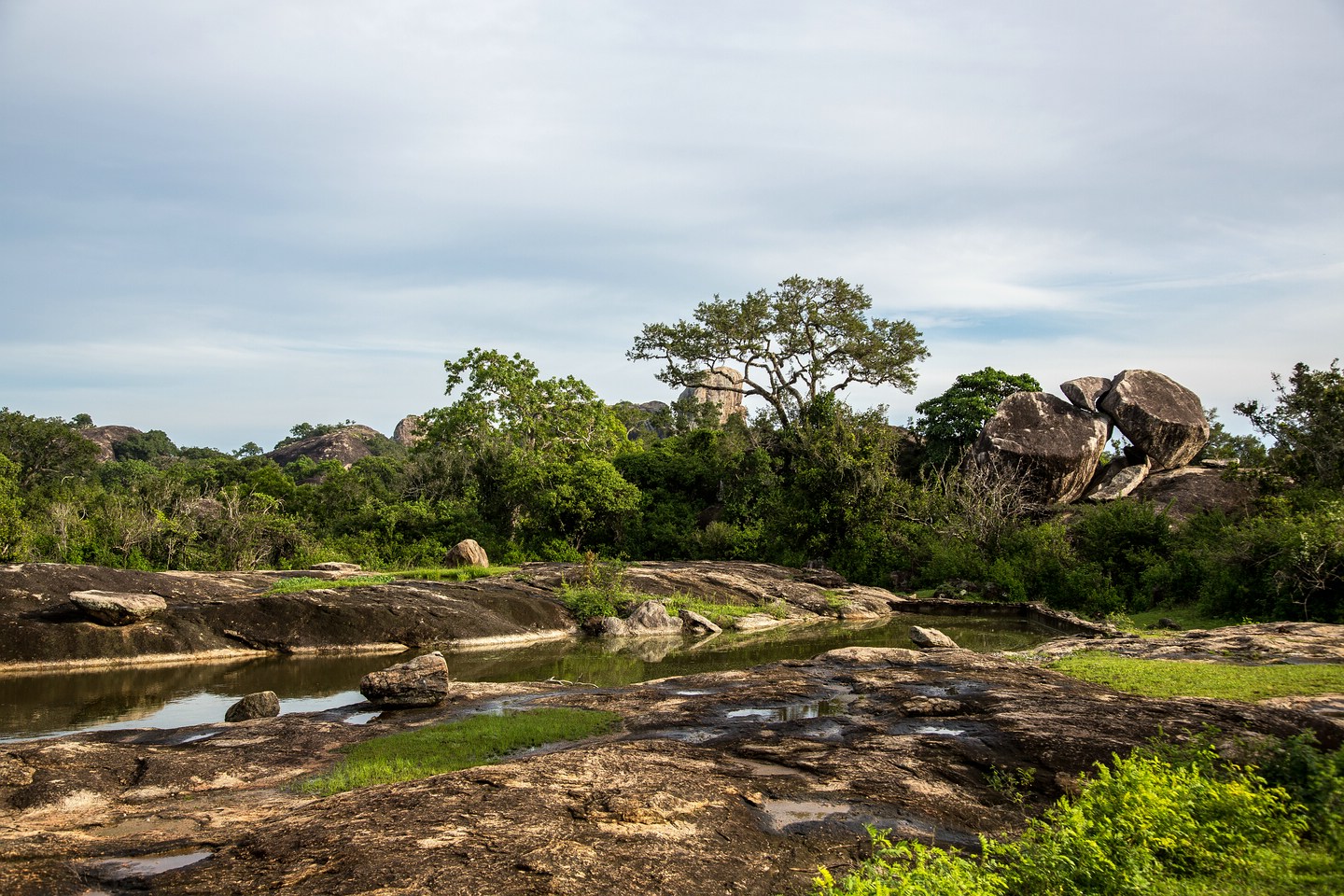 Yala National Park