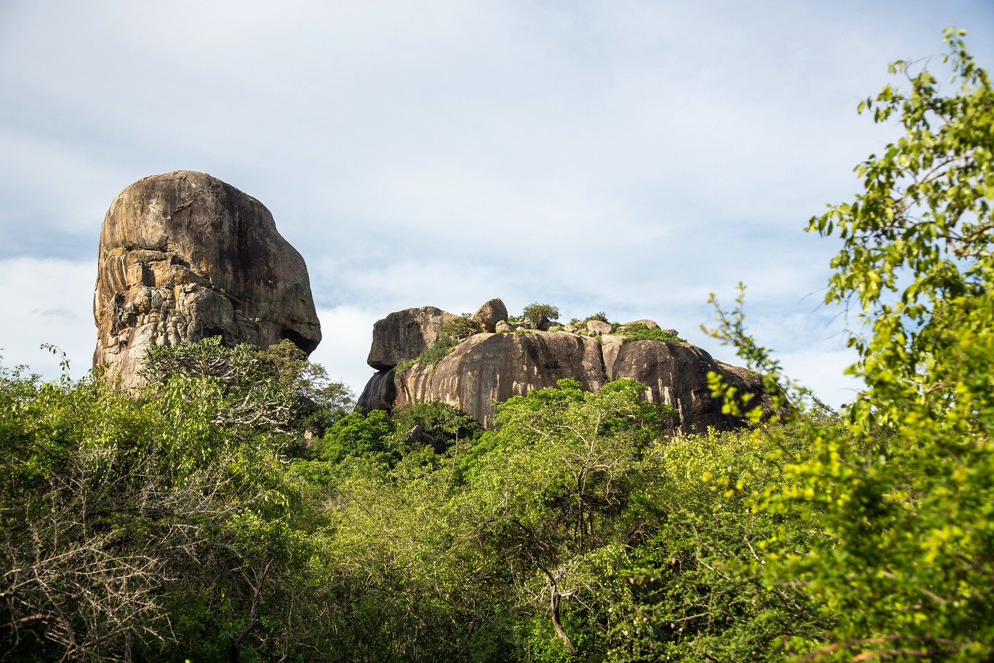 Yala National Park
