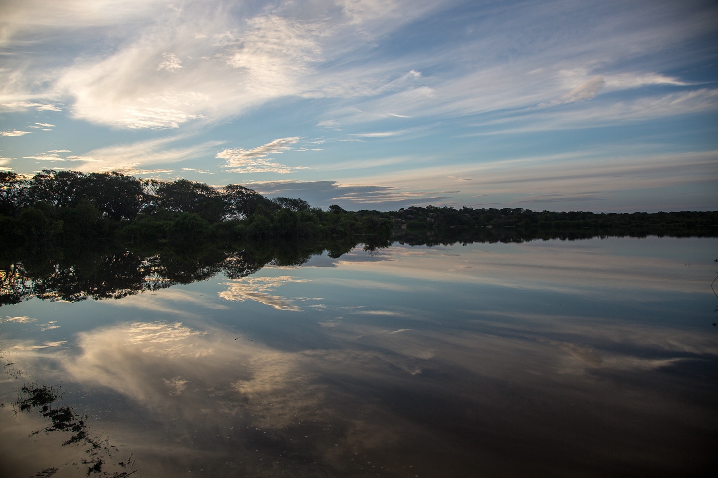 Yala National Park