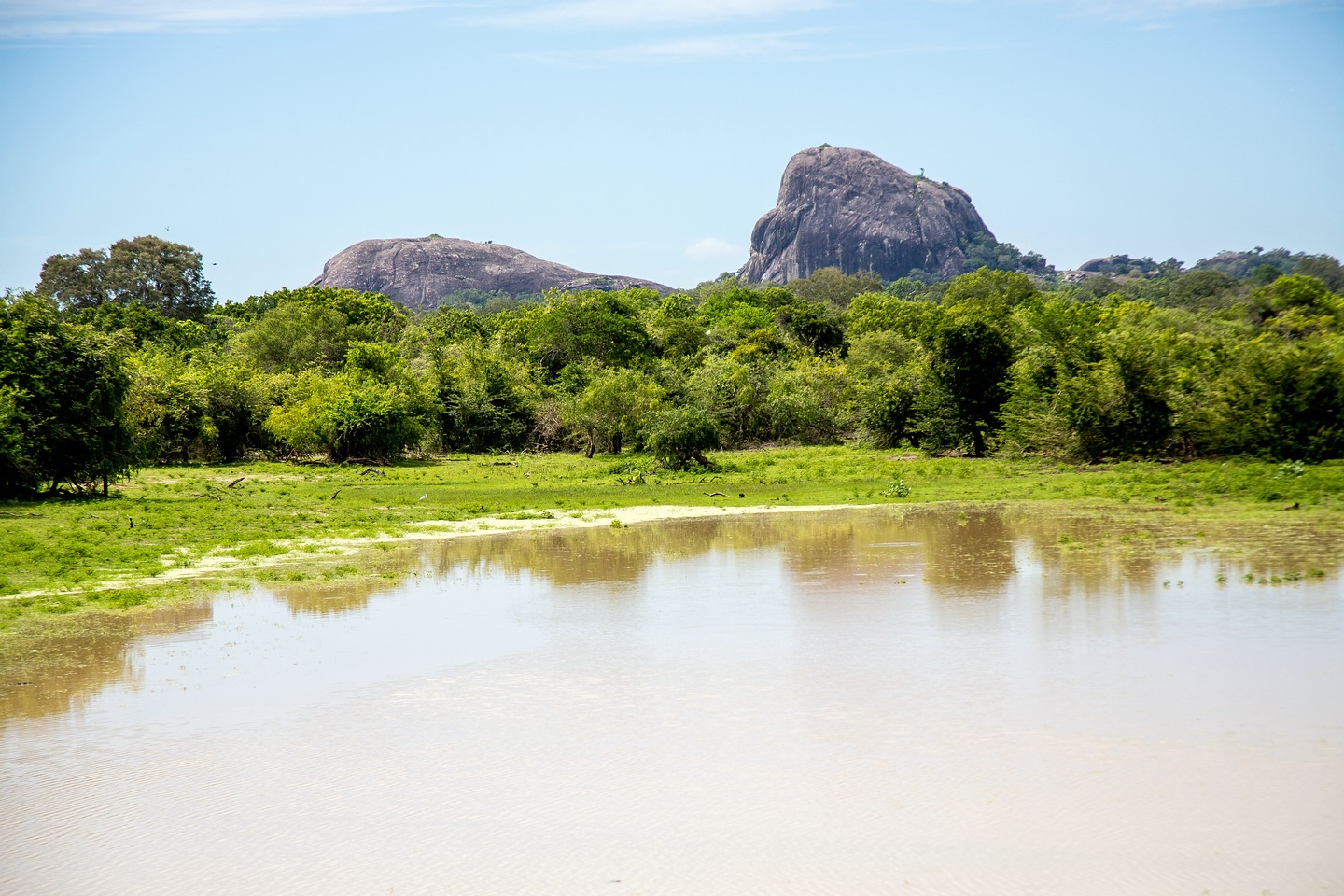 Yala National Park