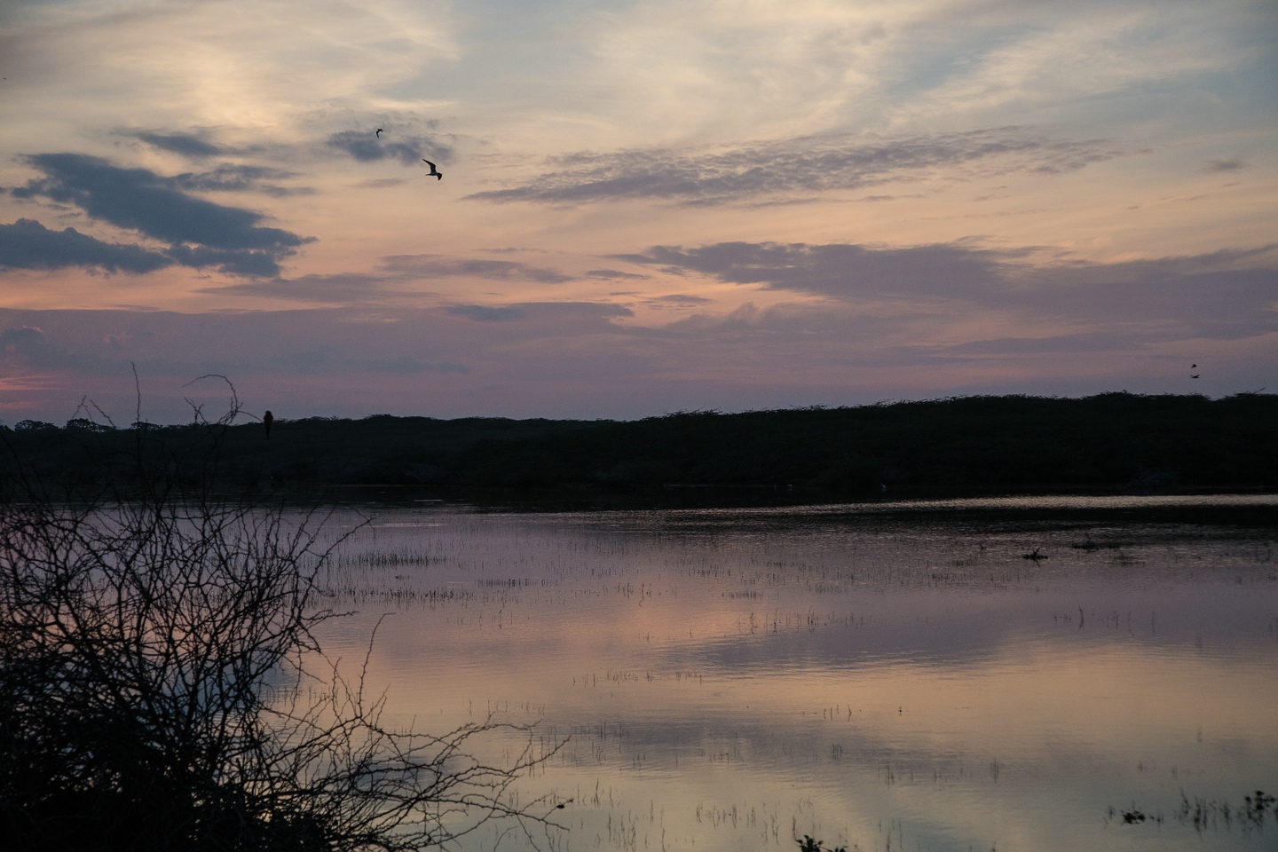 Bundala National Park