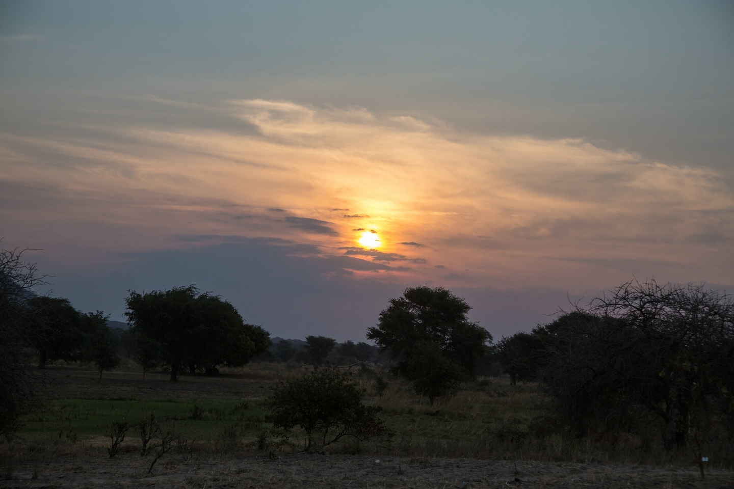 Ruaha Hilltop Lodge