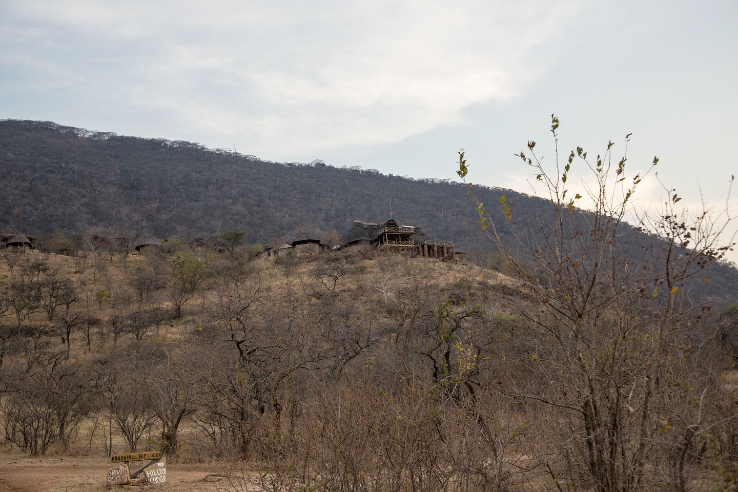 Ruaha Hilltop Lodge