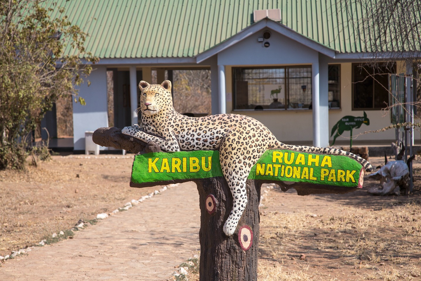 Ruaha National Park