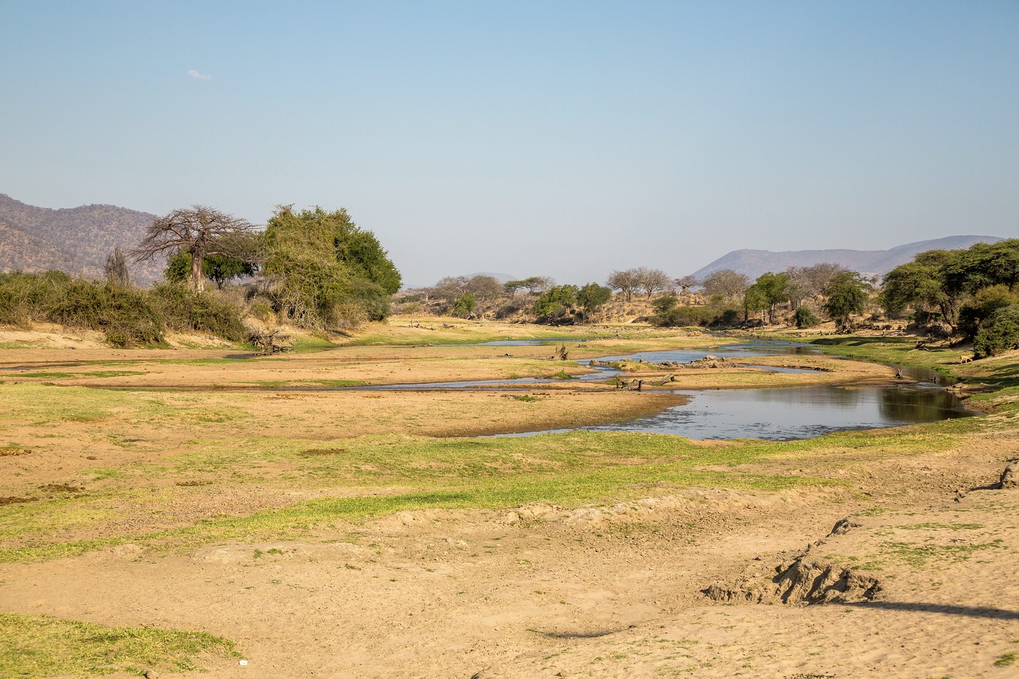 Ruaha River