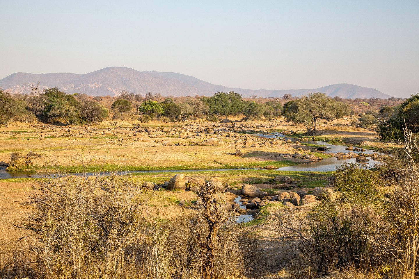 Ruaha River