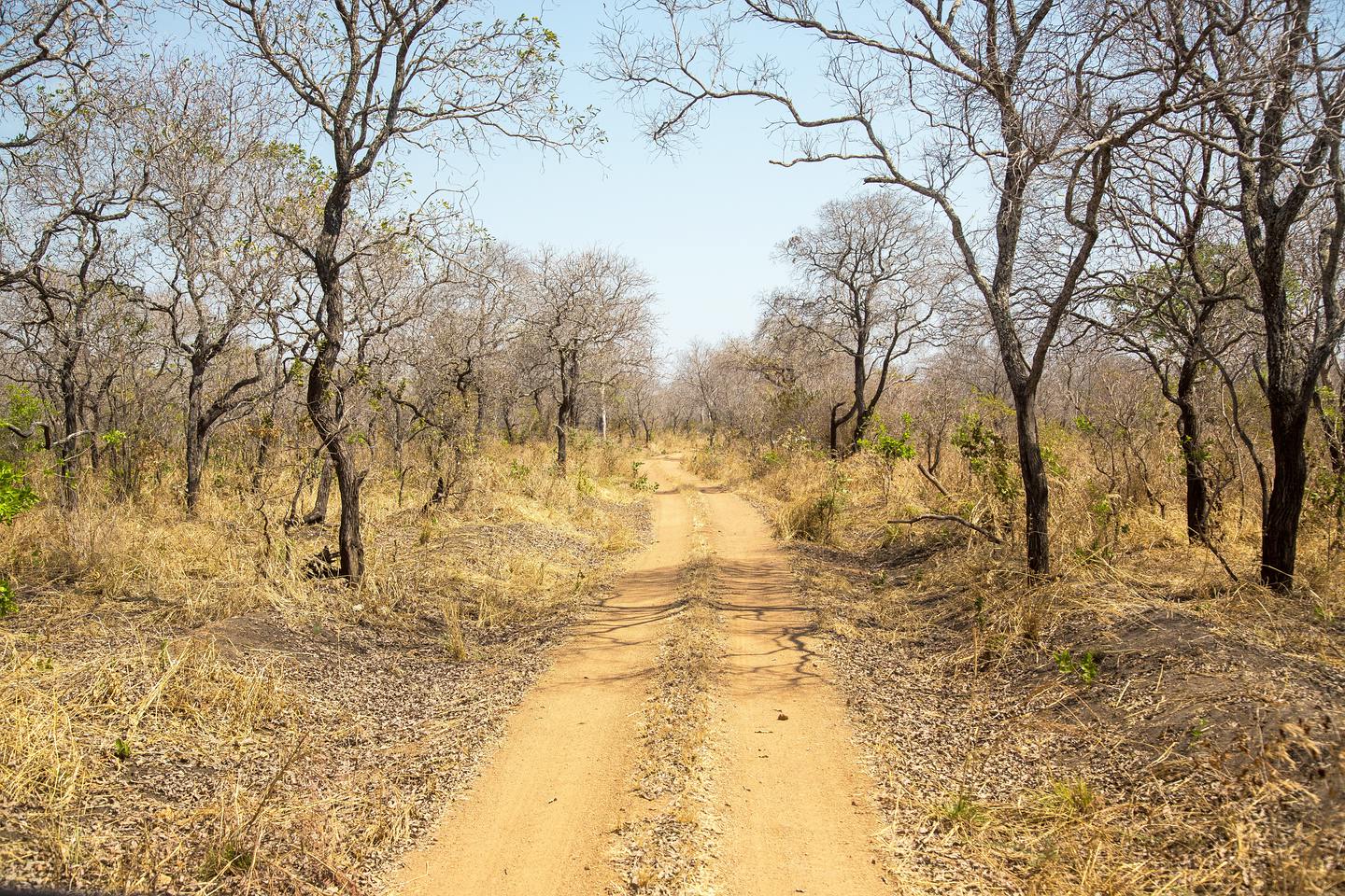 Katavi National Park