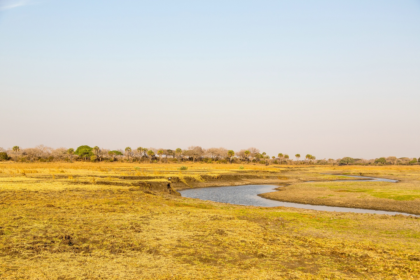 Katavi National Park