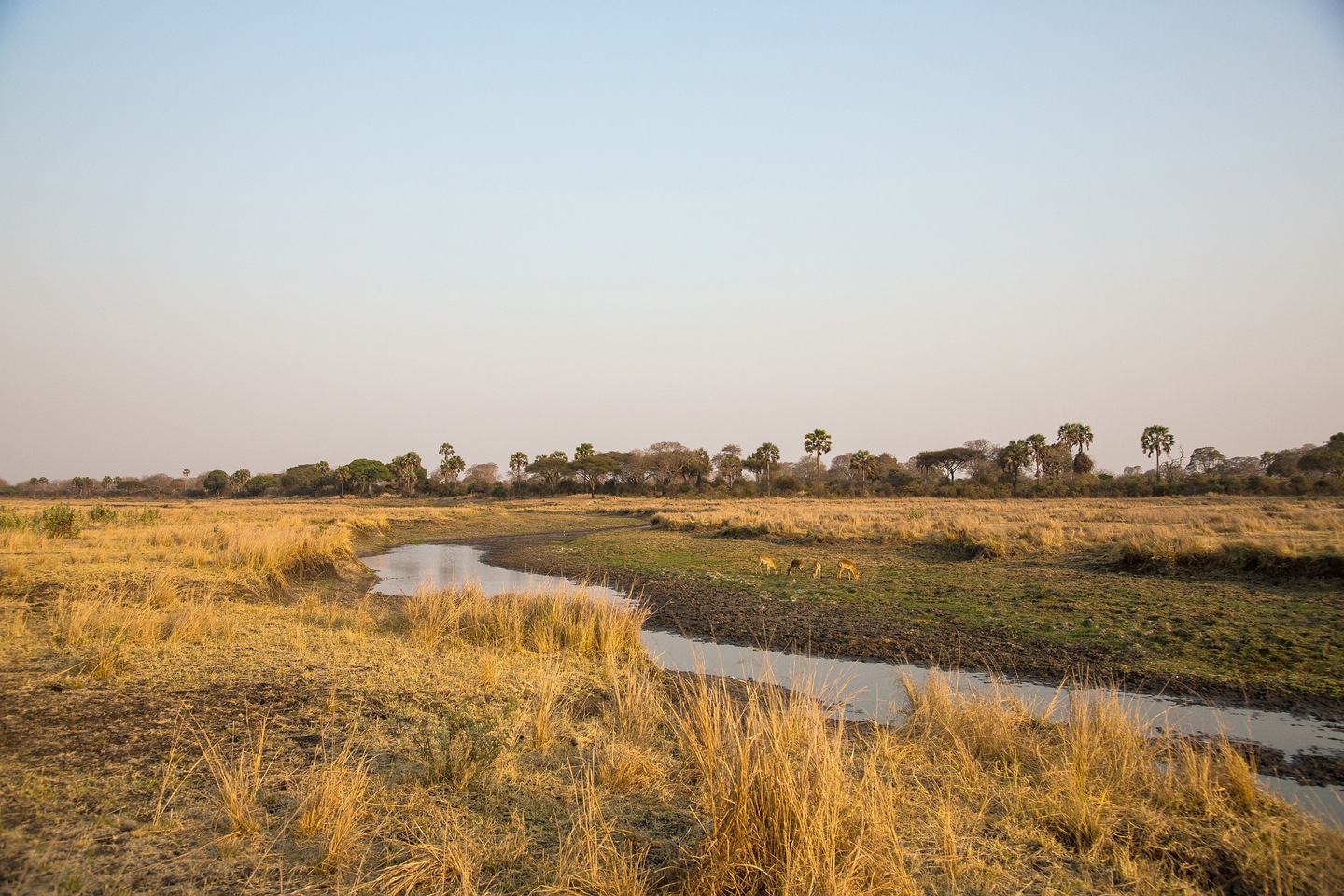 Katavi National Park