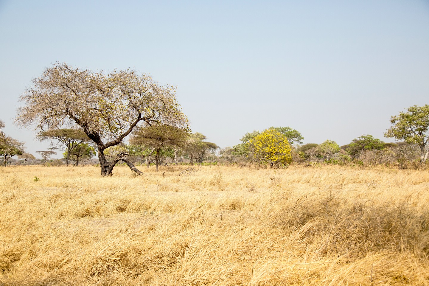 Katavi National Park