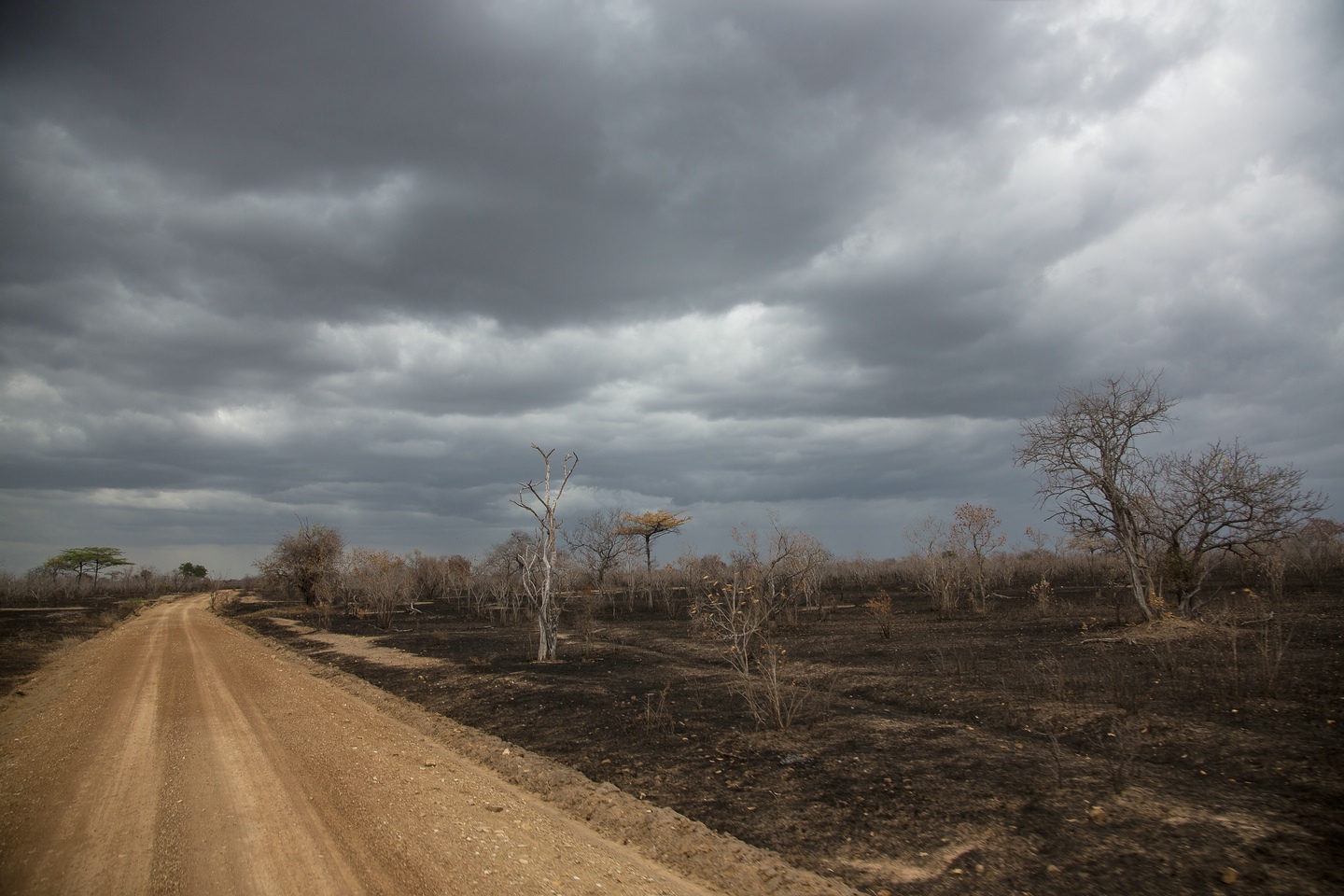 Selous Game Reserve