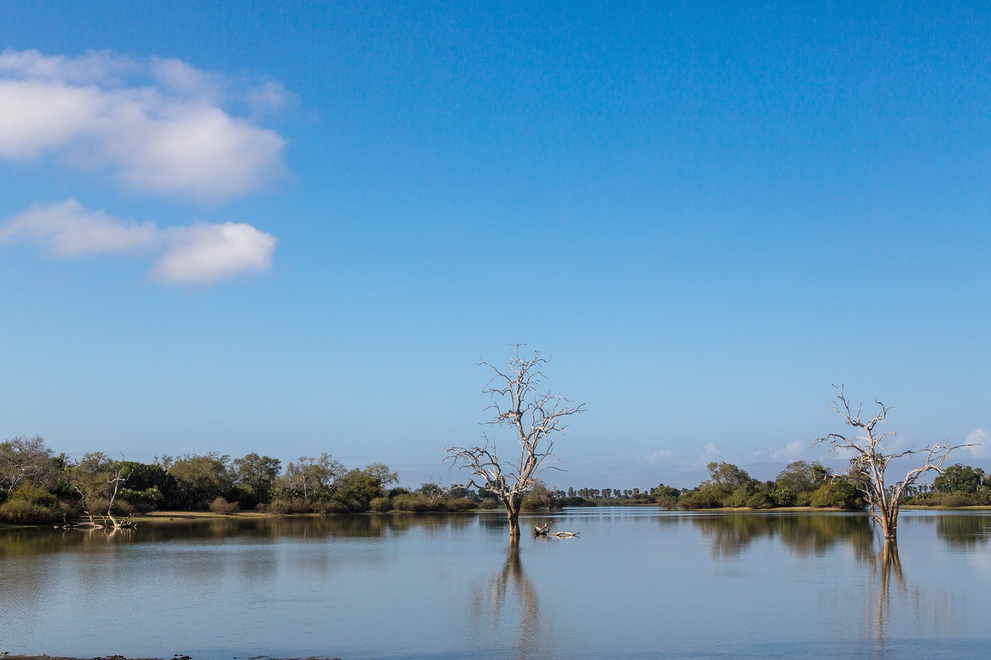 Selous Game Reserve